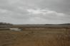 April 4, 2007 Image